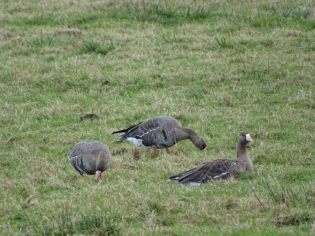 拥有姆巴佩 拥有姆巴佩