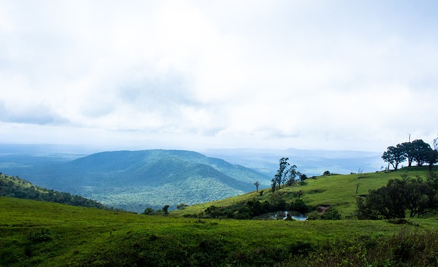 虽然显示出 虽然显示出