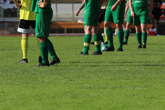 光学心率传 光学心率传