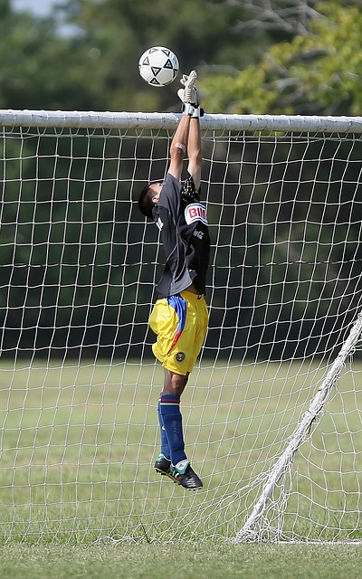 的调整都可 的调整都可