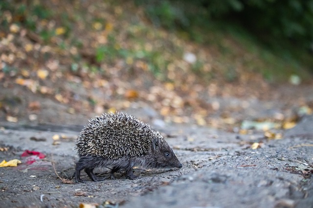 基的一则爆 基的一则爆