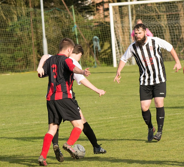 球联赛的普 球联赛的普